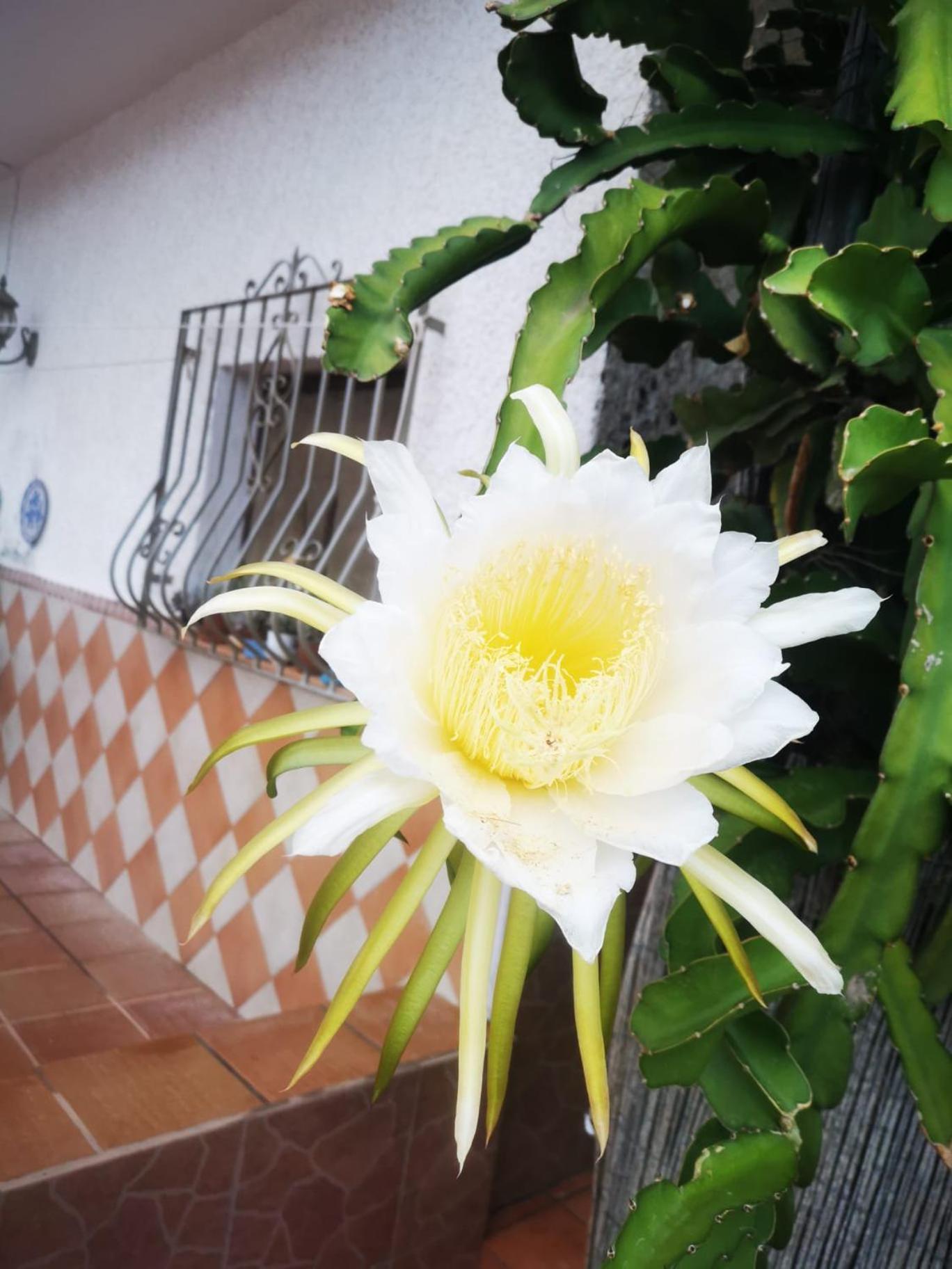Vivienda Rural En Cabo De Gata Apartment El Pozo de los Frailes Luaran gambar