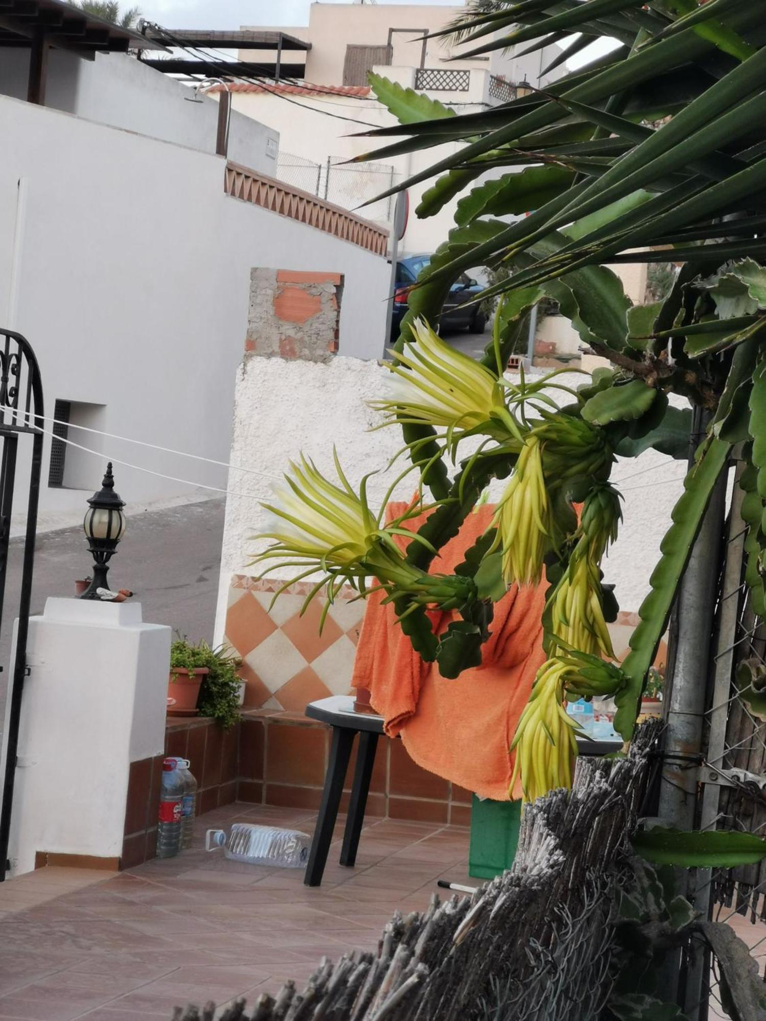 Vivienda Rural En Cabo De Gata Apartment El Pozo de los Frailes Luaran gambar